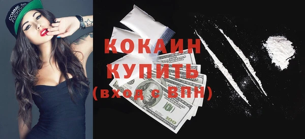 гидра Щучье