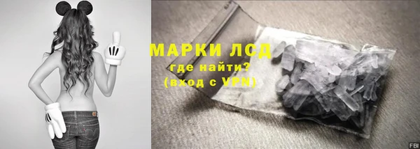 гидра Щучье