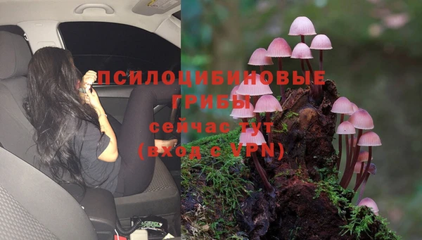 каннабис Шарыпово