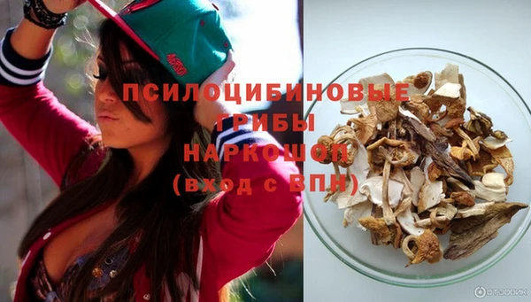 PSILOCYBIN Щёлкино