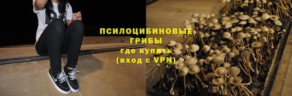 PSILOCYBIN Щёлкино