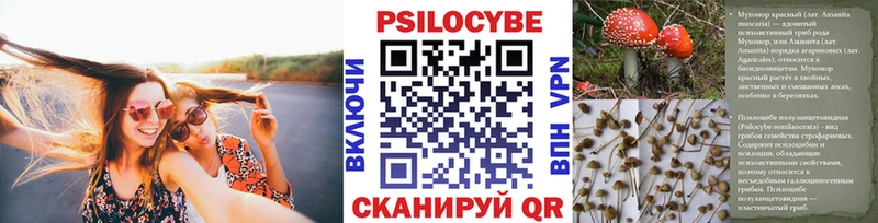 купить наркоту  Череповец  Псилоцибиновые грибы прущие грибы 