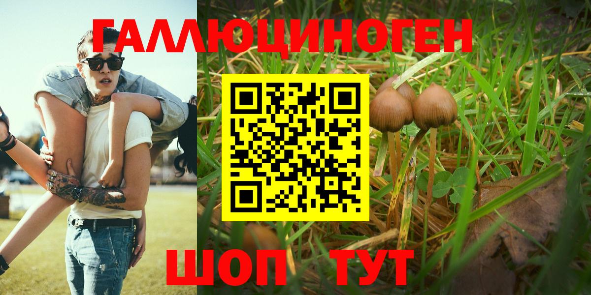 цена наркотик  Череповец  Галлюциногенные грибы мицелий 