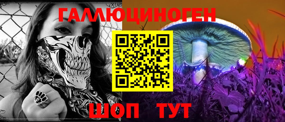 Череповец  Галлюциногенные грибы MAGIC MUSHROOMS  Вход с VPN  Галлюциногенные грибы Psilocybine cubensis 