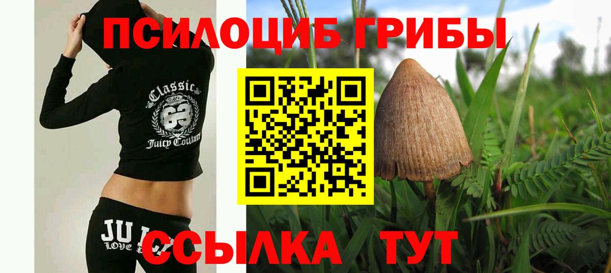 Псилоцибиновые грибы прущие грибы Череповец